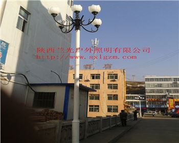 中華燈-陜北道路照明項目 中華燈-陜北道路照明項目