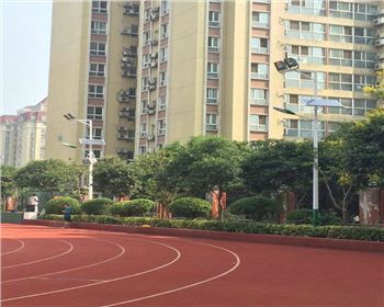 學(xué)校路燈改造-陜西省西安高新一中路燈項目 學(xué)校路燈改造-陜西省西安高新一中路燈項目