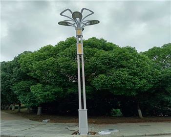 湖北武漢市政景觀(guān)路燈項(xiàng)目 湖北武漢市政景觀(guān)路燈項(xiàng)目